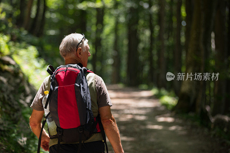 森林中活跃的成年徒步者