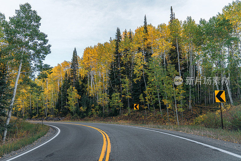 在65号高速公路上的司机的观点，在科罗拉多西部靠近大汇合点的国家森林风景小路上的秋天的颜色