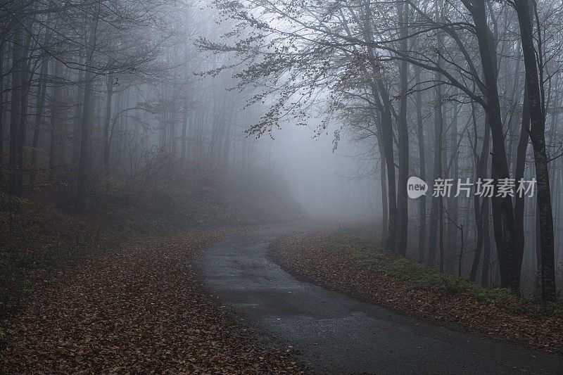 路上有雾的秋天。