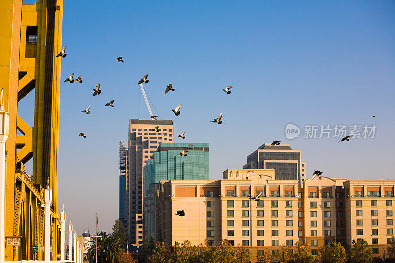 萨克拉门托的场景