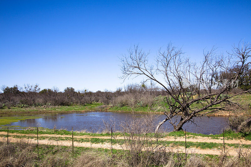 小池塘,景观。美国德克萨斯州希尔县。自然,铁丝围栏。