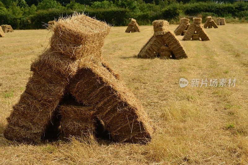 干草捆,英国