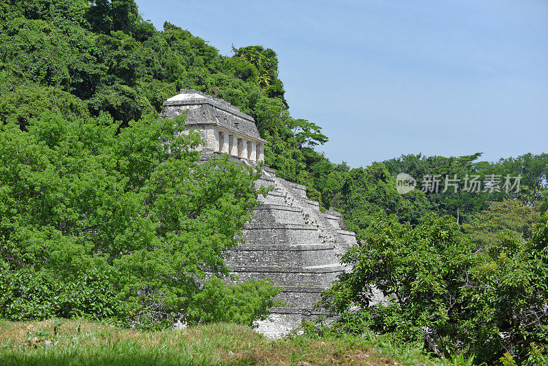 玛雅城市帕伦克