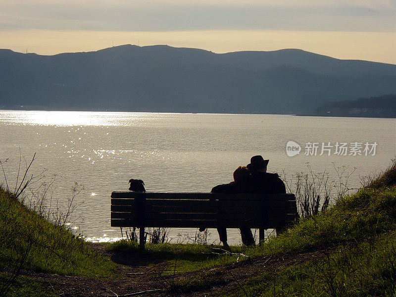 一对夫妇和他们的狗在海湾