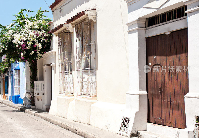 殖民地建筑:带有繁茂植被的古典住宅立面