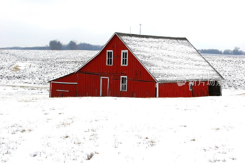 雪地里的雪红谷仓