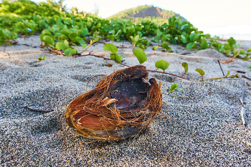 早上的格兰德・安斯海滩-留尼汪岛