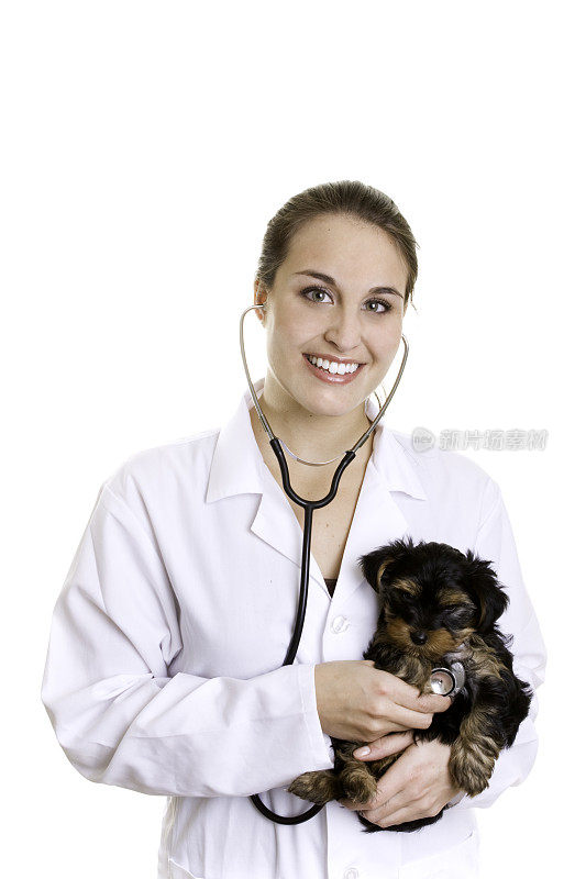 年轻的小狗和一个女兽医