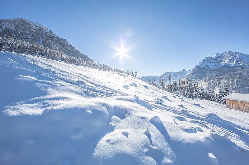 清晨的阳光沐浴着白雪