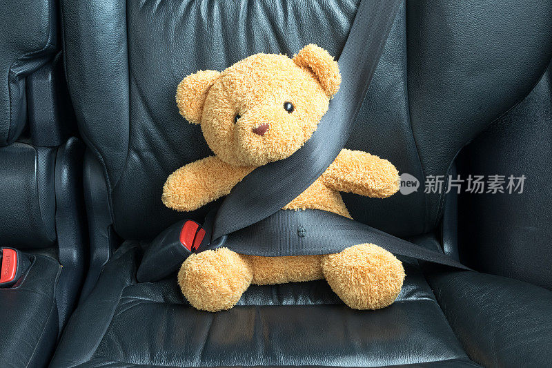 泰迪熊被绑在汽车后座上