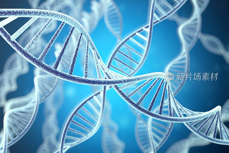 概念数字插图DNA结构。三维渲染