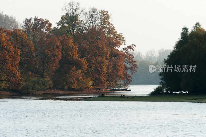 秋天，德国阿尔特莱茵河畔森林