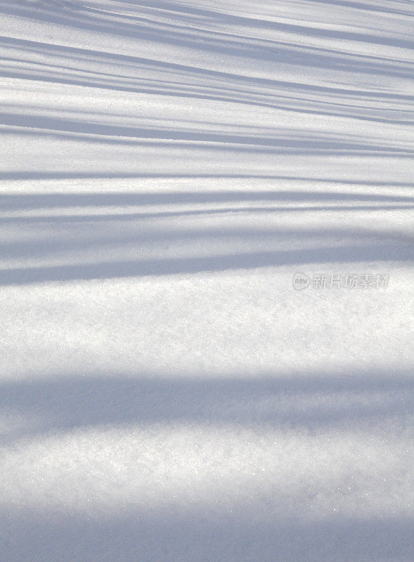 阴影在雪地上