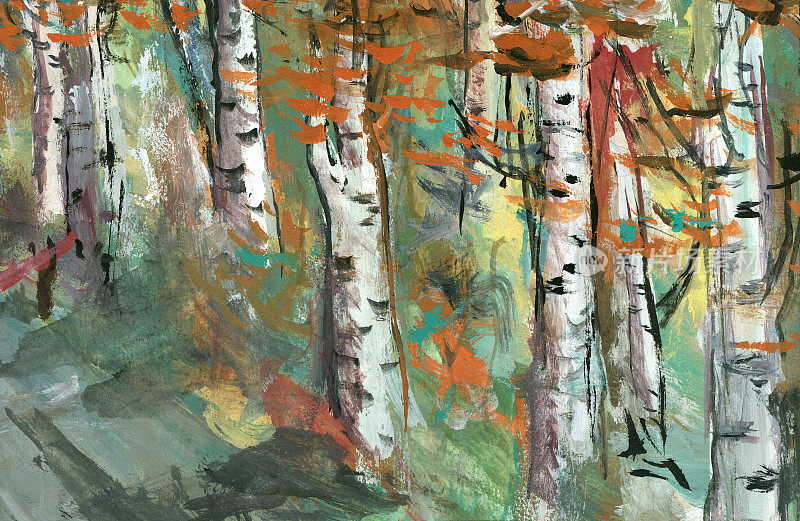 桦树-水彩画