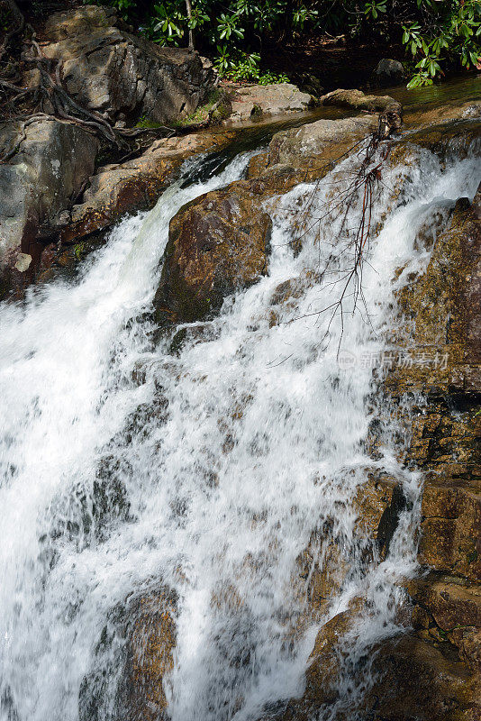 山核桃赛跑州立公园的鹰瀑布