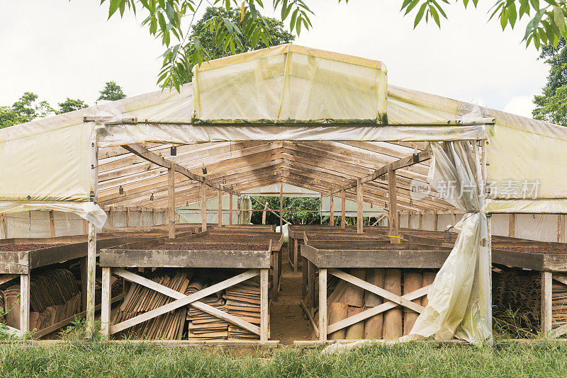 哥斯达黎加干燥可可豆的传统结构