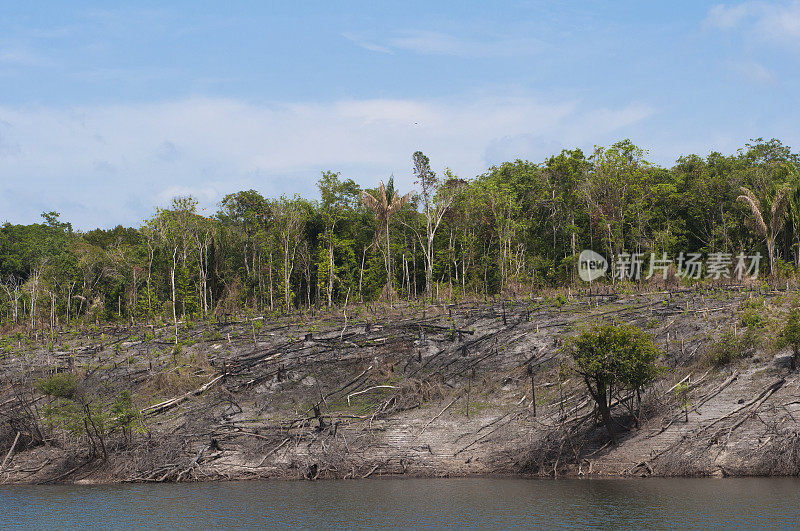 亚马逊对河边的破坏