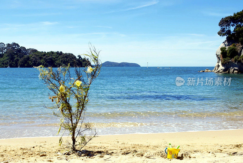 天然装饰的圣诞树在海滩上