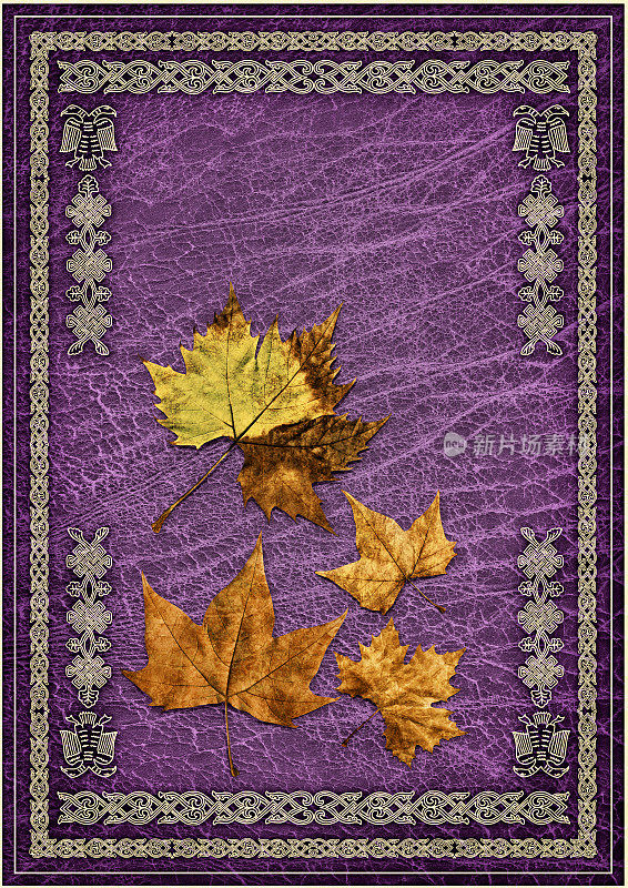 干燥的枫叶孤立在紫色华丽的镀金羊皮纸背景