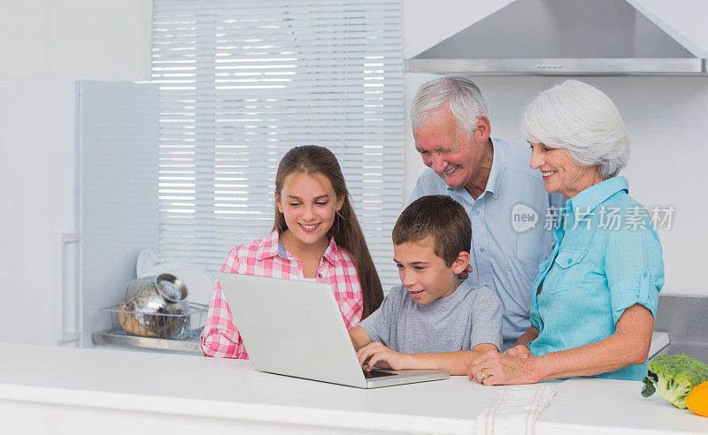 爷爷奶奶和孙辈在看笔记本电脑