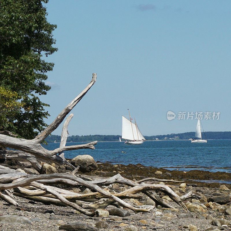 帆船航行，浮木原木，沿海缅因州海滩，马克沃斯岛，缅因州
