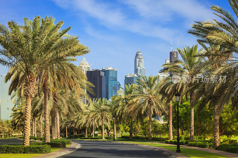 迪拜，阿联酋-阿拉伯的城市景观