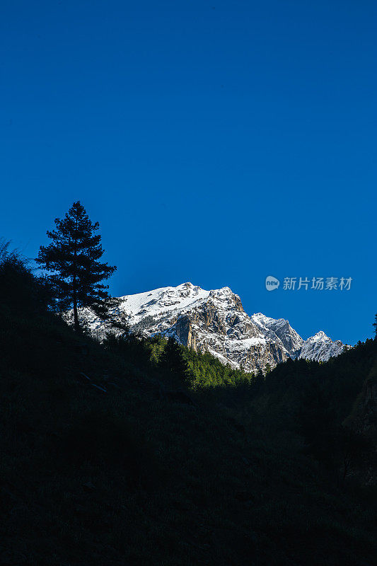 安纳普尔纳峰电路