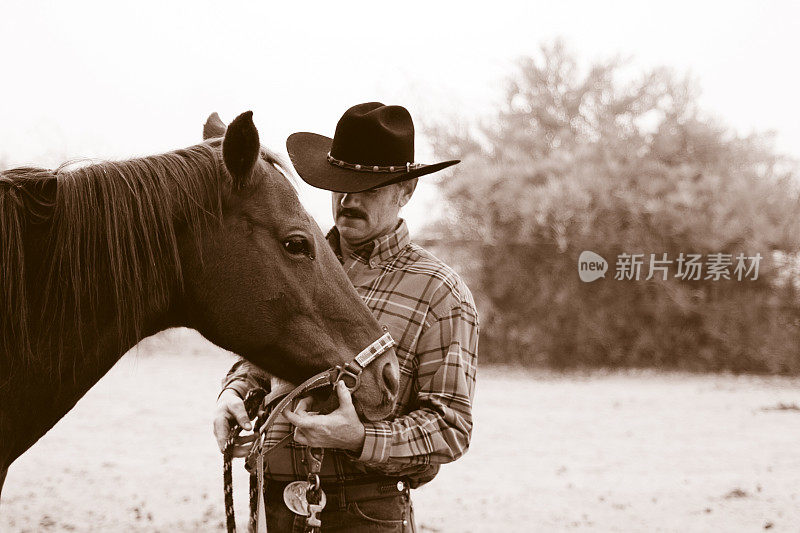 牛仔和他的马