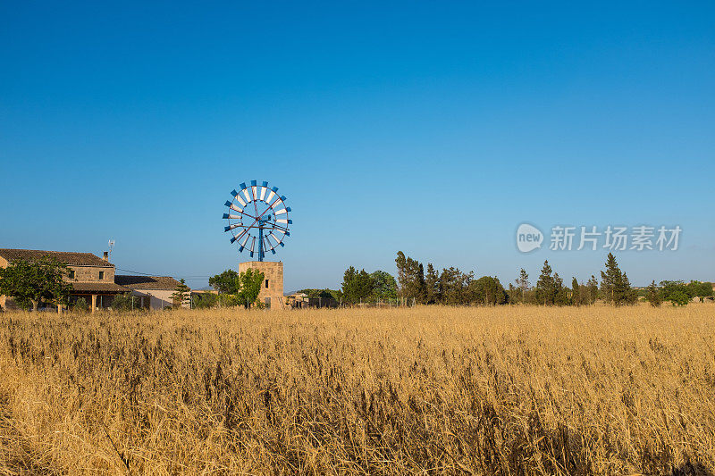 马略卡岛的传统风车风景