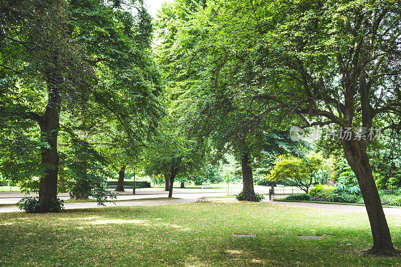 伦敦海德公园