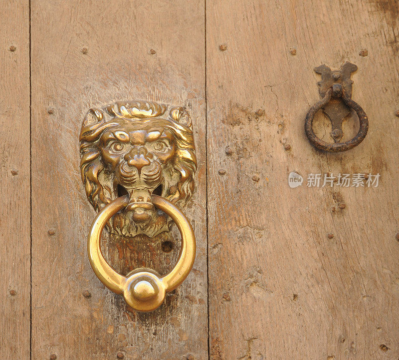 狮子的头Doorknocker