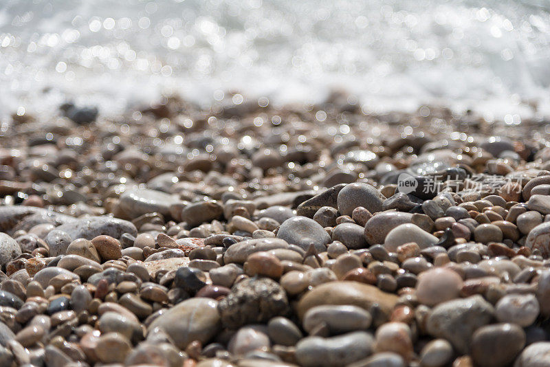 沙滩上的鹅卵石沾着水