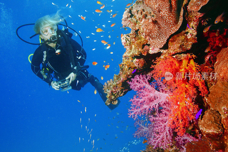 潜水者正在探索和享受珊瑚礁海洋生命运动女性水下摄影师