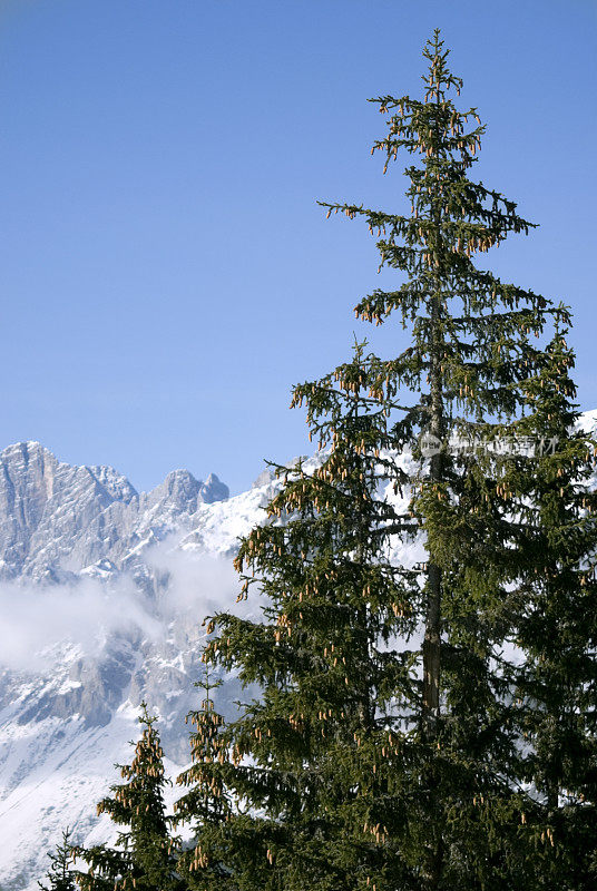 山风景