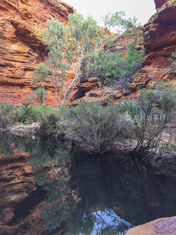 伊甸园水坑国王峡谷，北领地，澳大利亚