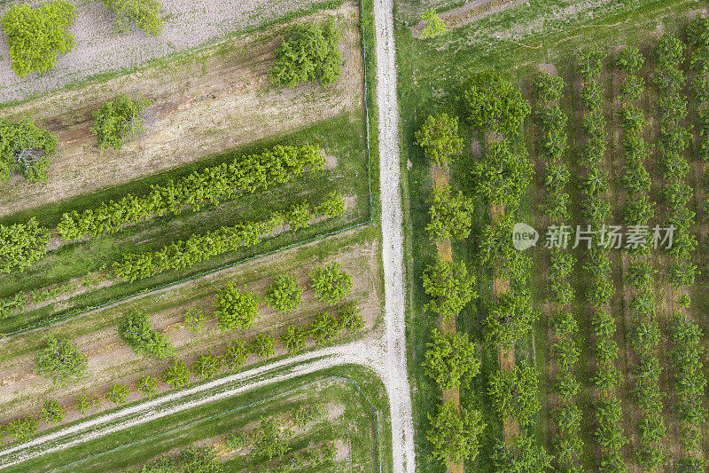 德国莱茵高果树种植园鸟瞰图