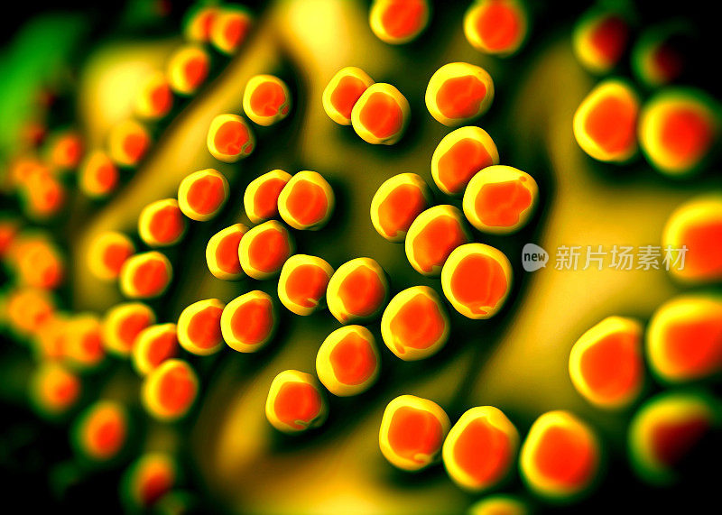 超级细菌或金黄色葡萄球菌(MRSA)