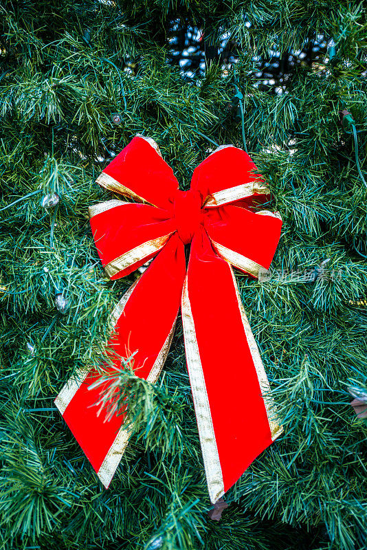 美国迈阿密市中心圣诞树上的红丝带