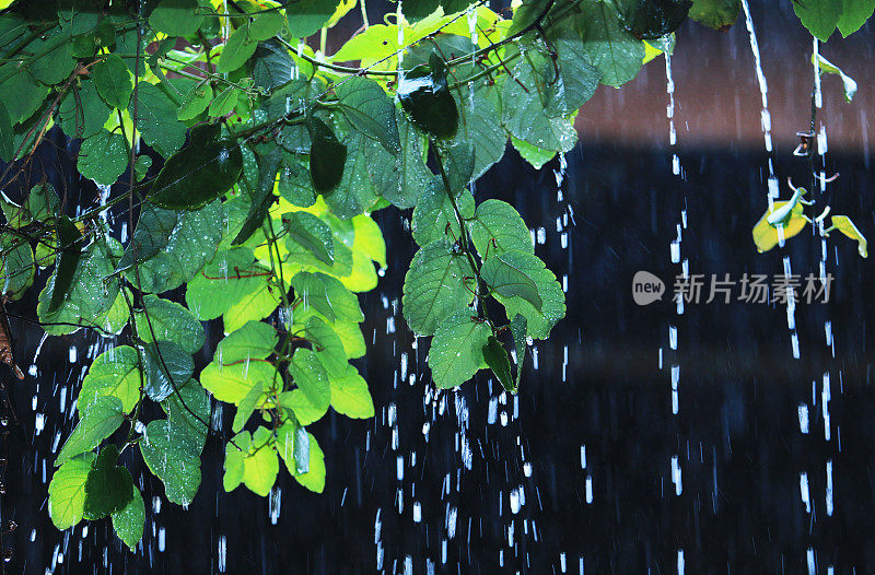 雨滴