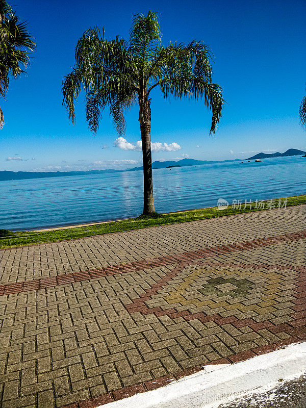 边境上有椰子树和FLorianópolis的木板路，可以看到大海