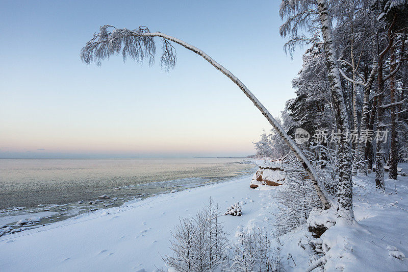 Vidzeme的海滨