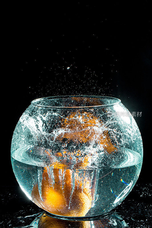 鱼缸里的橙色，溅起水花