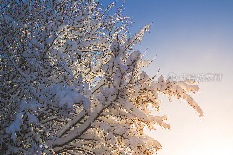 什罗浦郡雪场景