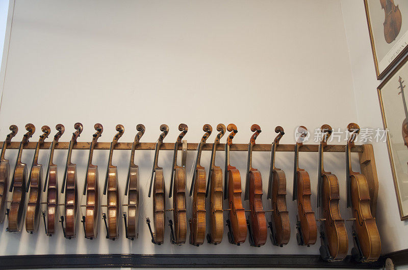 陈列架上的一排小提琴