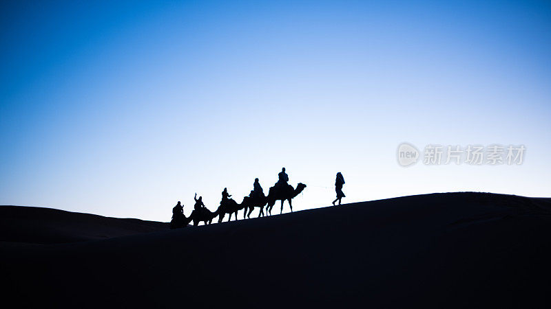日落时分，摩洛哥东部沙漠中的骆驼观光剪影
