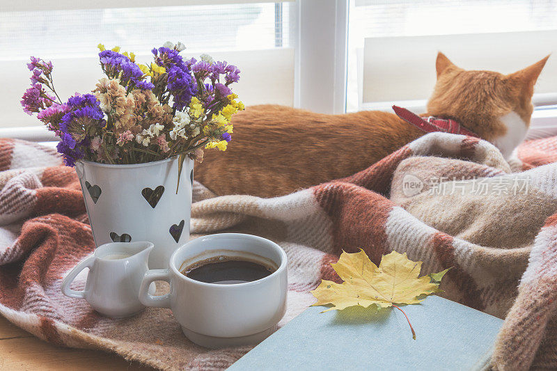窗台上，一杯咖啡，一本秋黄叶和红白猫的书，围着毛毯