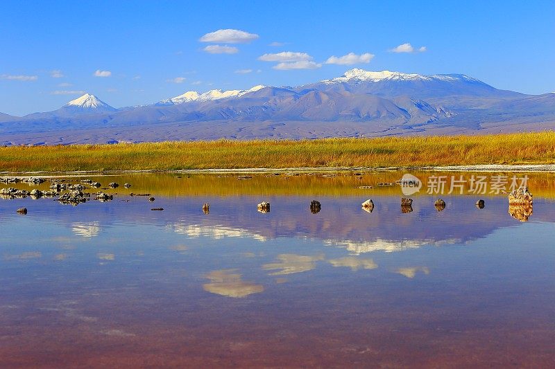 拉古纳塞贾尔-戏剧性的塞贾尔湖镜面反射，利坎卡武尔和Miniques雪顶火山和田诗化的阿塔卡马沙漠，火山景观全景-圣佩德罗阿塔卡马，智利，Bolívia和阿根廷边境