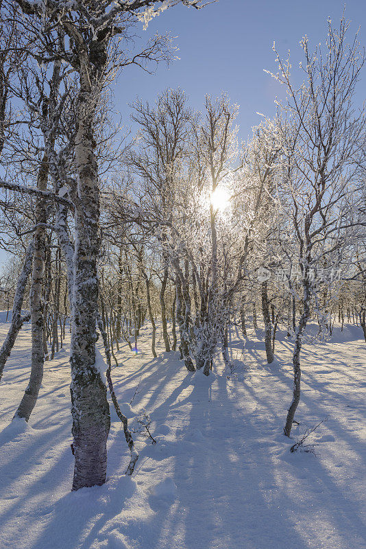 挪威森加岛冬日的雪景