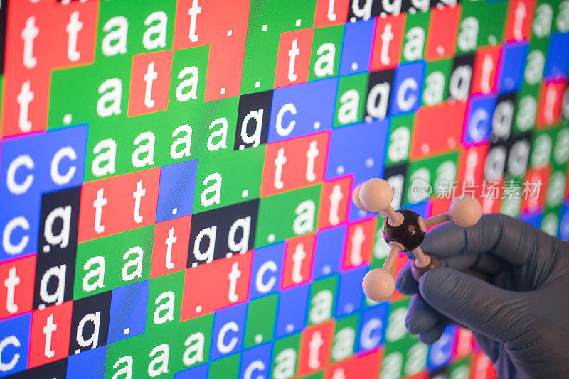 屏幕上的DNA代码，一只手拿着分子结构模具