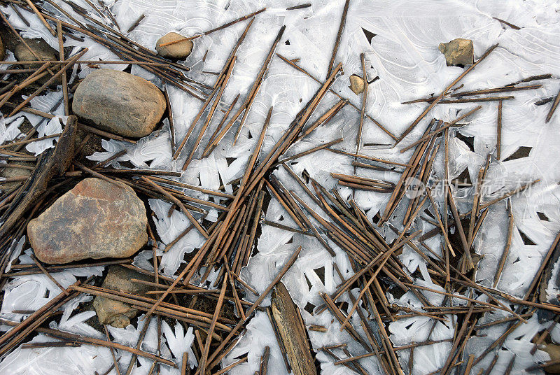 冰封的湖岸，芦苇和石头